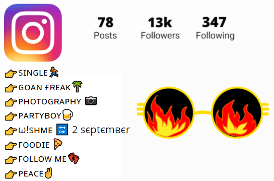 Bio for Instagram for Boy Attitude in English with Emoji