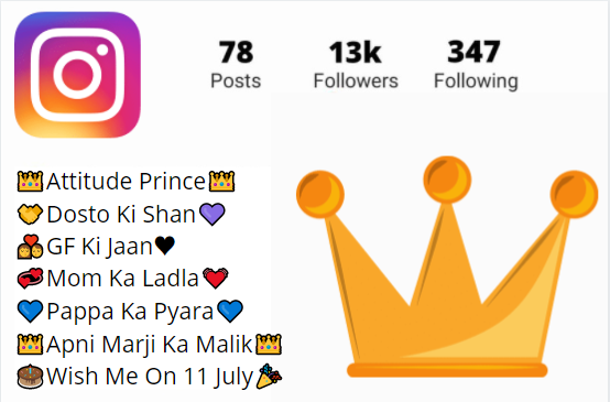 Bio for Instagram for Boy Attitude