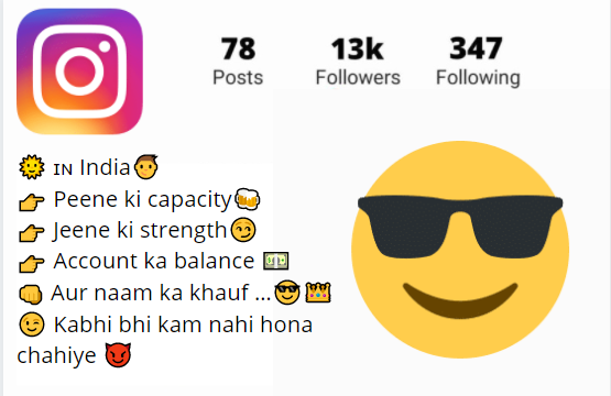 Instagram Bio for Boy in Hindi
