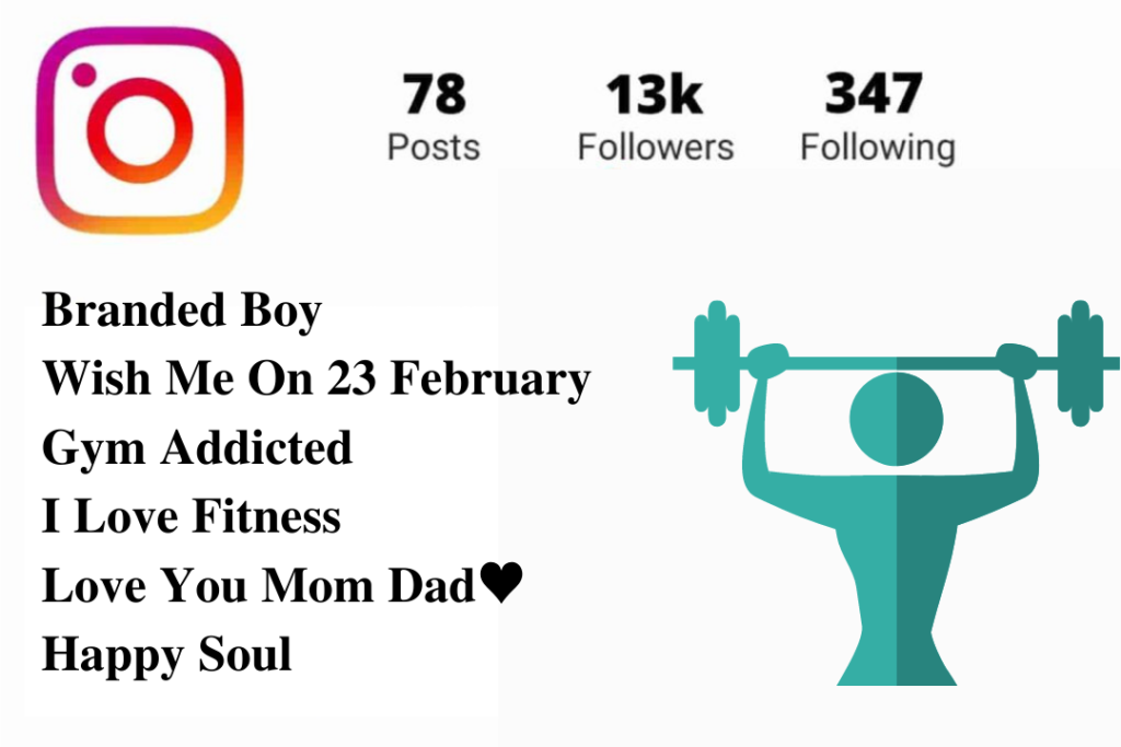 bio for instagram for boy